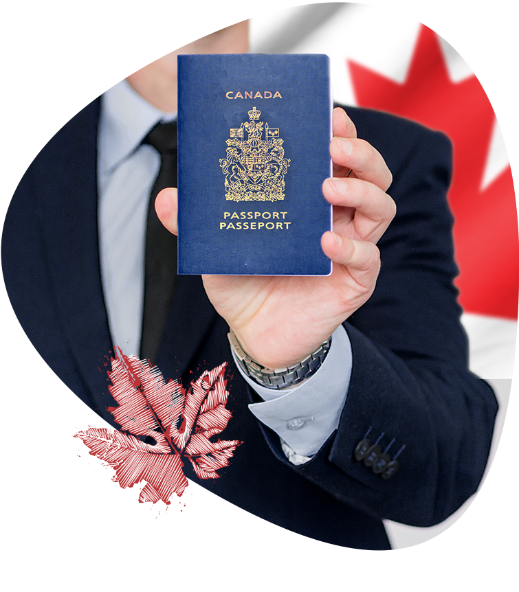 https://www.canadianvisaapp.com/wp-content/uploads/2020/07/Visa_programs.png